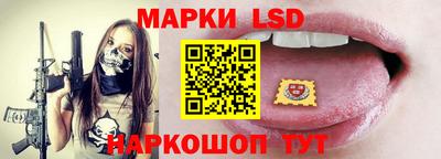 шишки Заволжье