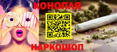 шишки Заволжье