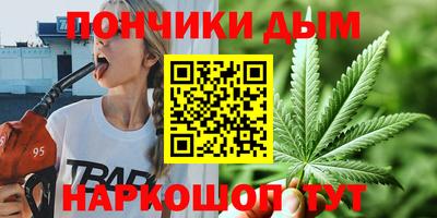 шишки Заволжье
