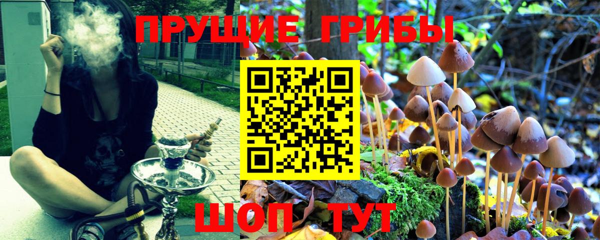 Псилоцибиновые грибы мицелий  сколько стоит  Вход с VPN  Курчатов  Галлюциногенные грибы мухоморы 